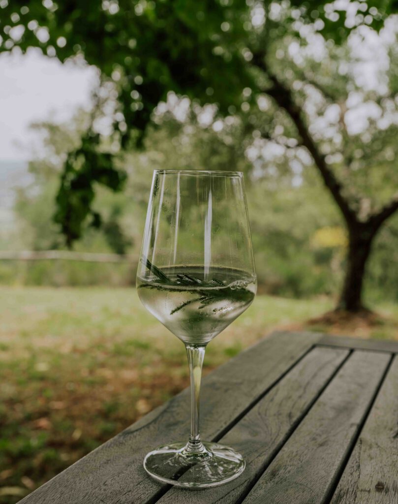 Ein Glas Wein auf den Demeterhof Fattoria La vialla in der Toskana in Italien