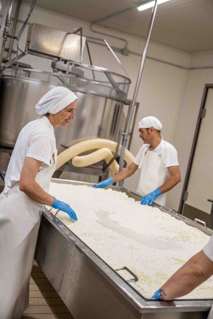 Blick in die Käserei bei der Produktion von Pecorino Käse von dem Demeterhof Fattoria La vialla in der Toskana in Italien