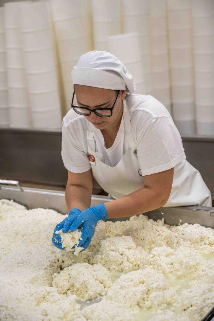 Blick in die Käserei bei der Produktion von Pecorino Käse von dem Demeterhof Fattoria La vialla in der Toskana in Italien